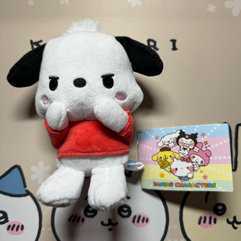 sanrio_characters_pochacco